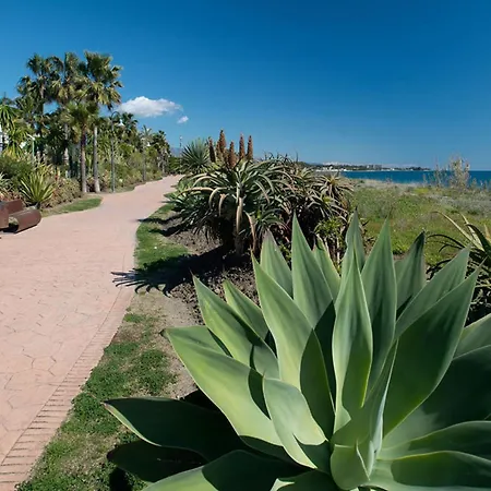 1126 Beachfront High Standard With Terrace Estepona