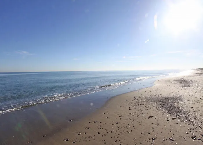 1126 Beachfront High Standard With Terrace